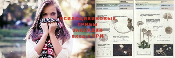 МДПВ Армянск