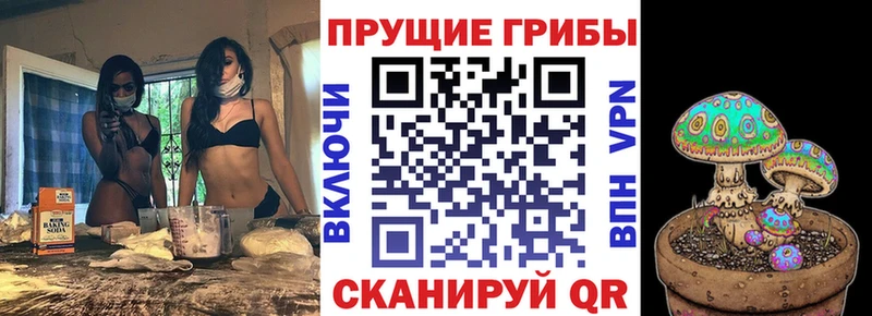 сайты даркнета клад Лиски Псилоцибиновые грибы ЛСД